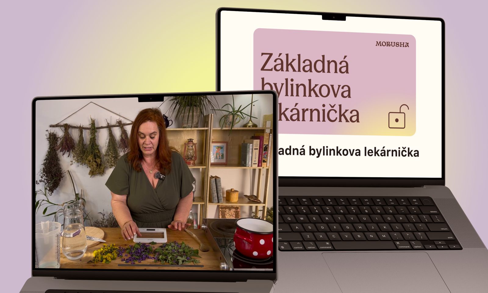 Základná bylinková lekárnička